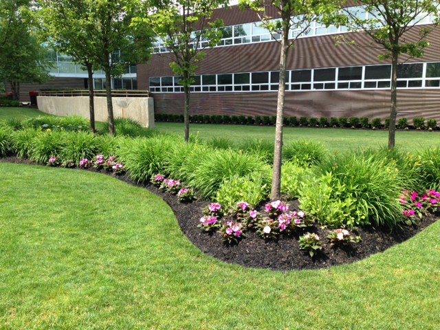 Landscaping Services